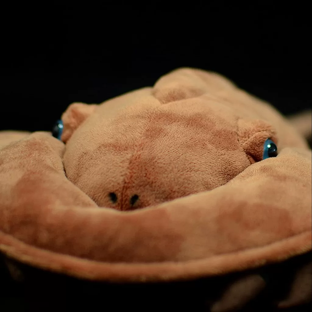 Deep Sea Horseshoe Crab Fish Plush